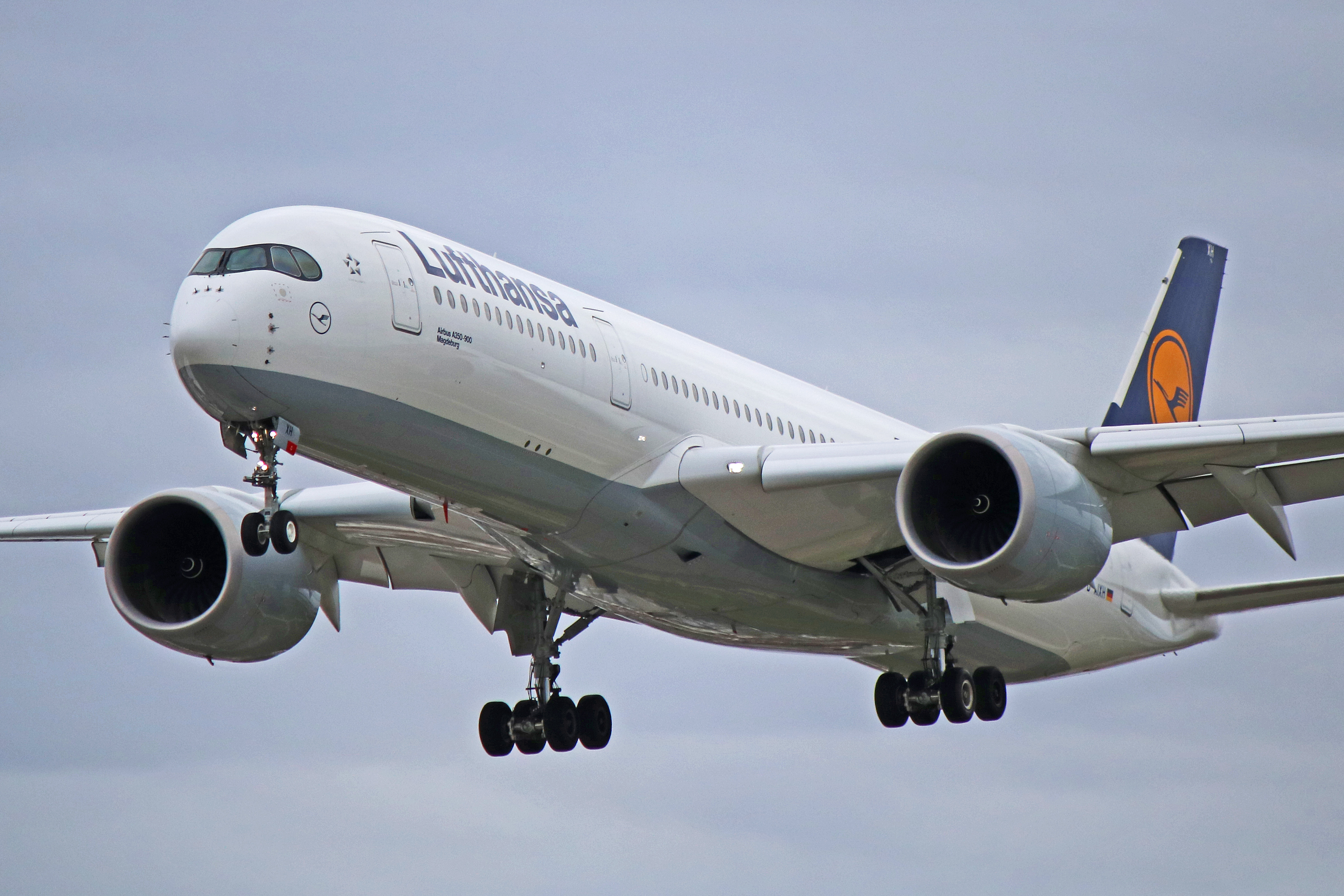 Lufthansa Airbus A350-900 // 1:200 inkl Standfuß NEU OVP D-AIXM PPC 