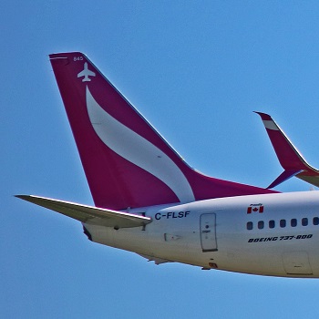 swoop boeing 737-800 tail logo